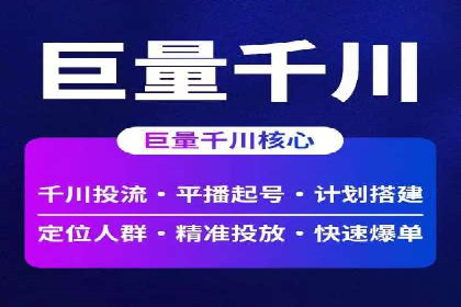 百度竞价运营策略：成功案例解析